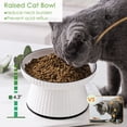 thumbnail image 4 of Cuenco de comida para gatos elevado de porcelana, cuenco de agua para gatos poco profundo para gatos, perros pequeños, plato de alimentación de alimentos MFZFUKR BST3006945-2, 4 of 6