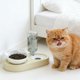 thumbnail image 4 of Juego de comederos y bebederos para mascotas: antideslizante, desmontable y fácil de limpiar. Comedero para gatos y perros con reposición automática de agua para el hogar y los viajes., 4 of 6