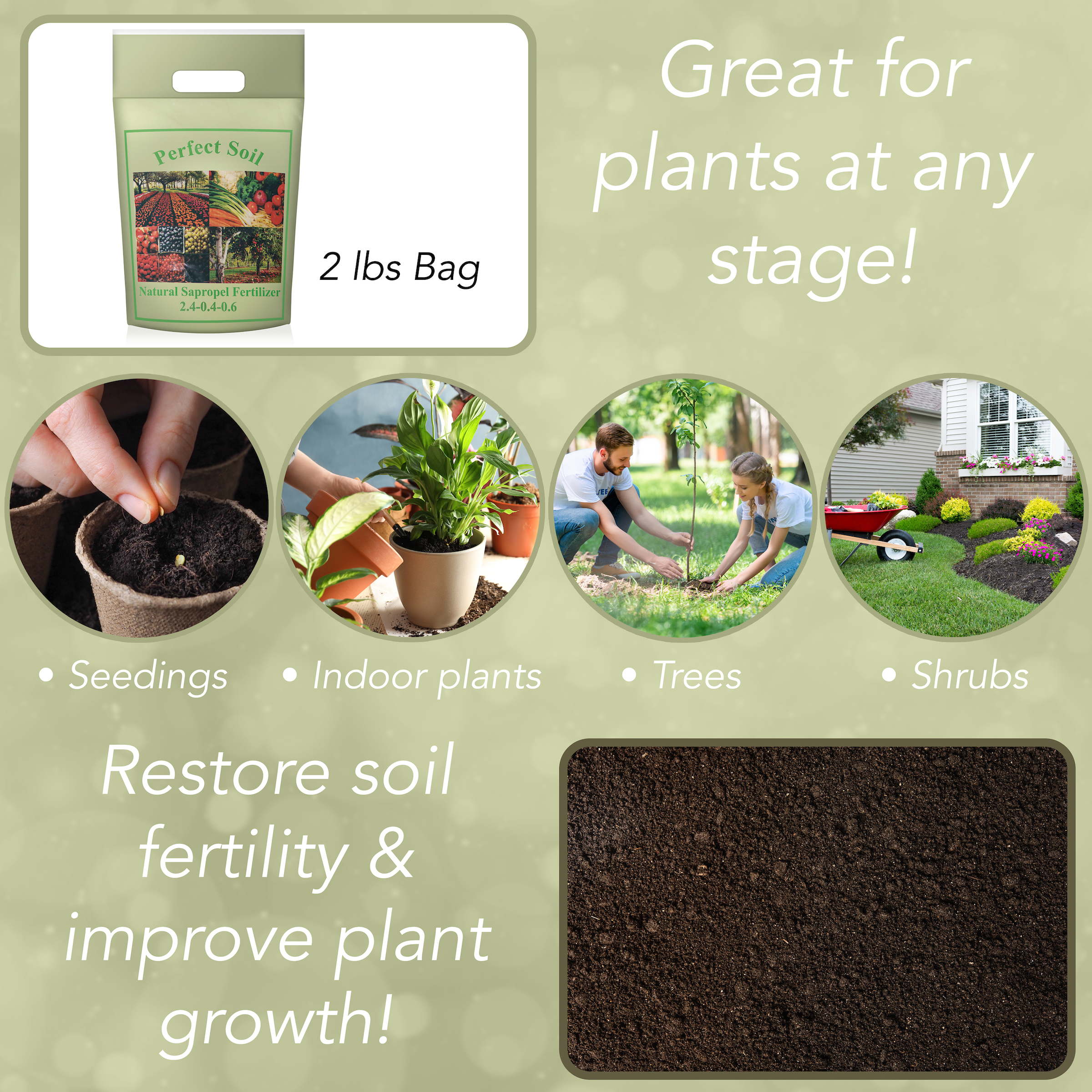 Perfect Soil Sapropel Organic Fertilizer for Vegetables and Plant Food - Grow a Healthier Garden and Protect Your Plants from Disease with Organic Garden Fertilizer for Indoor and Outdoor Plants - image 5 of 7