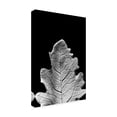 thumbnail image 2 of Renee W. Stramel 'Striking Leaf IV' Canvas Art, 2 of 3
