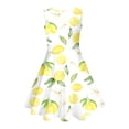 thumbnail image 5 of SOFTCCLO Dresses for Girls Sleeveless Crew Neck Lemon Print Fresh Casual Dress for Summer Daily Wear Size 11-12Y, 5 of 7