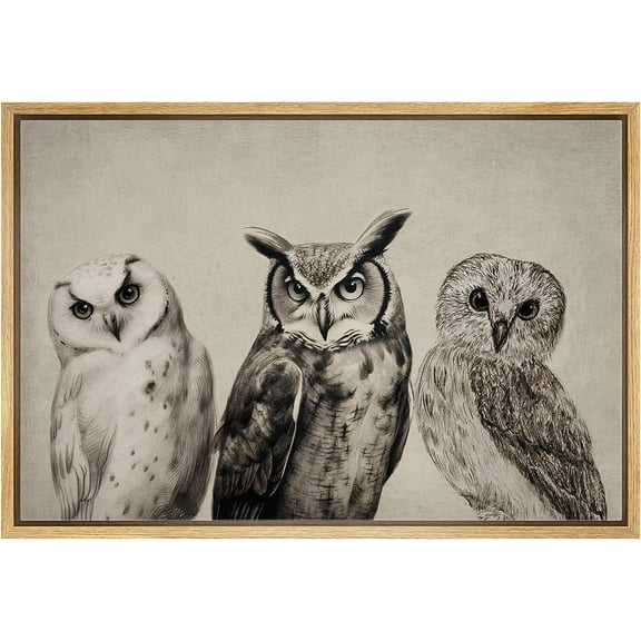 PixonSign Framed Canvas Print Wall Art Duotone Owl Portraits Vintage Antique Farmhouse Decor Nature Animals Modern Art Realism Cozy Decorative Colorful Multicolor - 16"x24" Natural