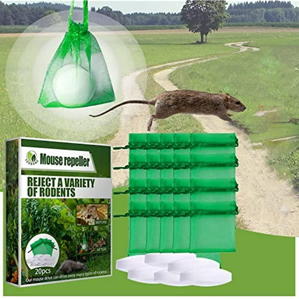 12 Pcs Natural Mouse Repellent Peppermint Oil, Rodent Repeller for Car  Engines Home Kitchen Indoor Outdoor