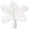 thumbnail image 1 of Nvzi 24 piezas de plumas de avestruz blancas naturales a granel de 10 a 12 pulgadas, 25 a 30 cm, para centros de mesa de bodas, fiestas, Pascuas, Gatsby y decoración del hogar, plumas de avestruz, 1 of 5
