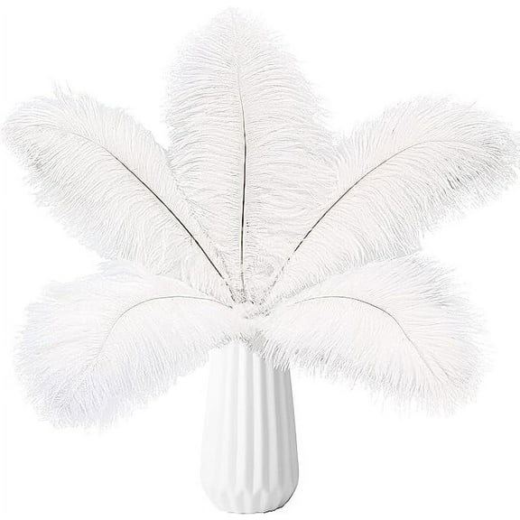 Zhuge 24pcs White Ostrich Feathers Natural Bulk 10-12Inch 25cm-30cm for Wedding Party Centerpieces Easter Gatsby and Home Decorate Ostrich Feathers