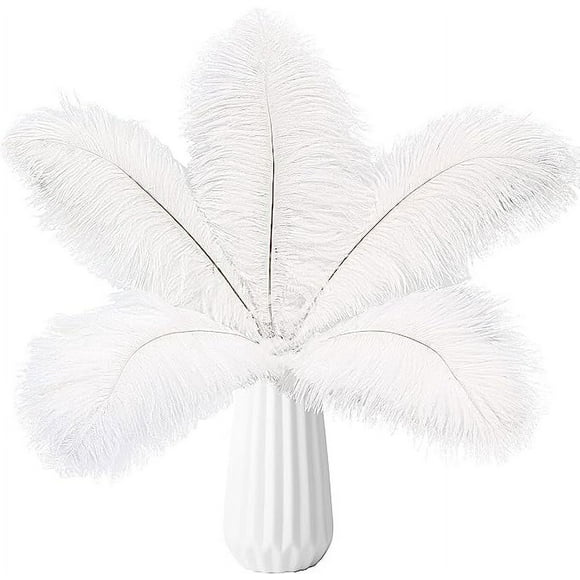 XmhyTop 24pcs White Ostrich Feathers Natural Bulk 10-12Inch 25cm-30cm for Wedding Party Centerpieces Easter Gatsby and Home Decorate Ostrich Feathers