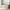 Beige, variant on Harper & Bright Designs Upholstered Daybed with Pop up Trundle, Wooden Twin Daybed Frame with Extendable Trundle, Tufted Sofa Bed Daybed, Pink