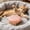 Pink, variant on 3 In 1 Silicone Pet Can Lid Universal Dog Cat Food Can Cover, Airtight Fresh Keeping Seal Lid for Wet Food Storage, Reusable Flexible Food Saver Covers Fit Most Standard Pet Cans