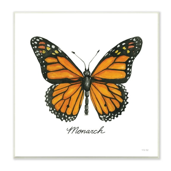 Stupell Industries Monarch Butterfly Casual Insect Wildlife Design Graphic Art Unframed Art Print Wall Art, Design by Cindy Jacobs