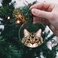 thumbnail image 5 of WIRESTER Large 3 inch Acrylic Ready to Hang Ornament, Hanging Ornaments for Christmas Tree Holidays Party Home Office Xmas Tree Decoration Gift - Animal Black Brown Maine Coon Cat, 5 of 6