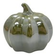 thumbnail image 1 of Decoración Cerámica Way to Celebrate de Calabaza de Cerámica, Diámetro de 11.8 Cm, 1 of 4