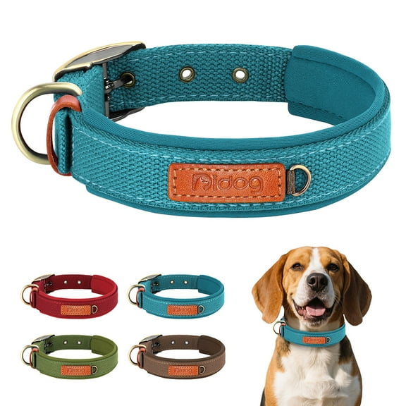 Didog Durable Nylon Dog Collar Soft Webbing Adjustable for Small/Medium/Large Breeds,Secure Buckle with Metal Ring for Leash