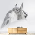 thumbnail image 3 of wall26 - Gray Andalusian Horse in a Mist - Removable Wall Mural | Self-Adhesive Large Wallpaper - 66x96 inches, 3 of 6