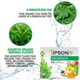 thumbnail image 7 of Tipson Organic Moringa Tea - 6 Assorted Flavors - 60 Foil Enveloped Double Chambered Bags - Antioxidant Superfood - Caffeine Free - NonGMO - Gluten Free, 7 of 7