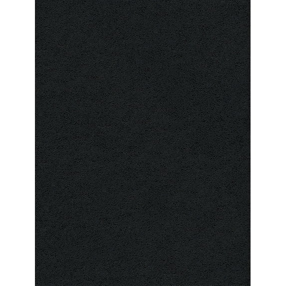 Tayse Jersey Shag Shag Area Rug JRS1003 Transitional Dark Gray 8' 9" x 12' 2" Rectangle