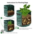 thumbnail image 4 of Luxtrada DIY Potato Grow Planter PE Cloth Planting Container Bag Thicken Garden Pot Plant Grow Bags Garden Pots Planting Nursery Bags (10 US Gallon - 1PCS), 4 of 9