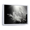 thumbnail image 2 of Designart "Monochrome Subaquatic Tranquility" Coastal Coral Under Water Floater Framed Canvas Wall Art, 2 of 5