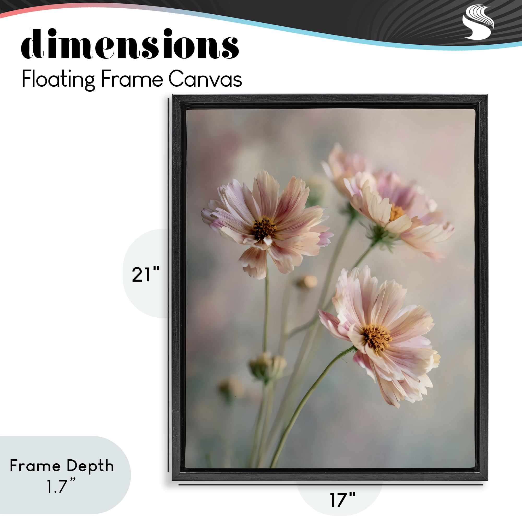 Stupell Industries Pink Daisies Close Up Black Framed Floater Canvas Wall Art, design by Franklyn Gregory