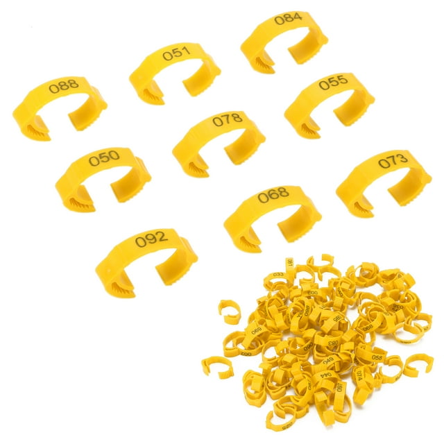 BANDAS PARAS DE POLLO, 100 UNIDADES, HEBILLA DE IDENTIFIONA PARAS, BANDAS Para Pato, Correa para Pollo, Anillos para Patas de Aves de Corral Con