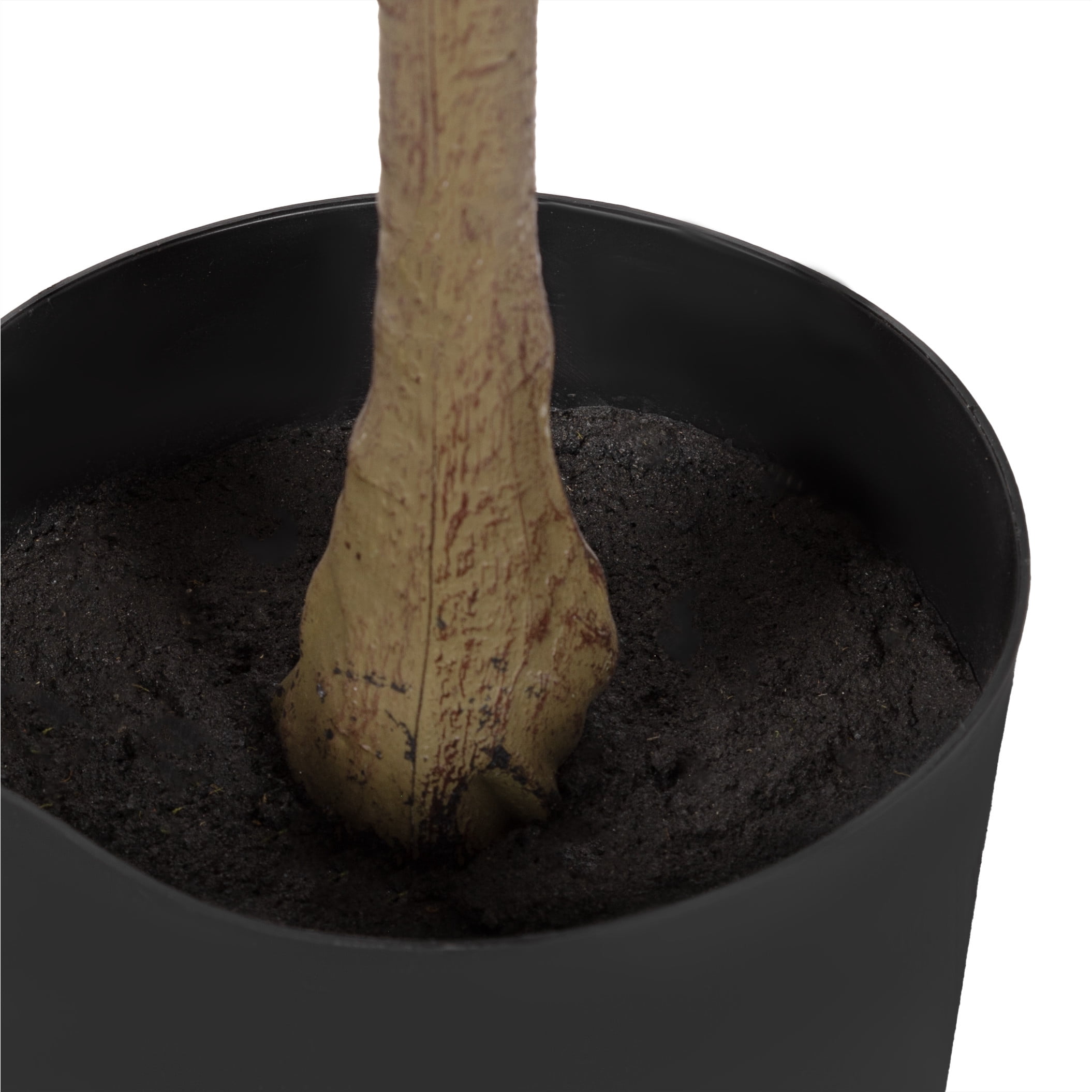 Kate and Laurel Oliveira Faux Olive Tree with Claudel Scalloped Planter Pot, 5 FT, Black, Potted Artificial Olive Plant Tree with Realistic Foliage and Added Moss, Fake Plant for Living Room Decor