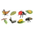 thumbnail image 4 of Juguetes de aprendizaje Strade Fareast Limited ciclo de vida de los animales Estilo A, 4 of 5