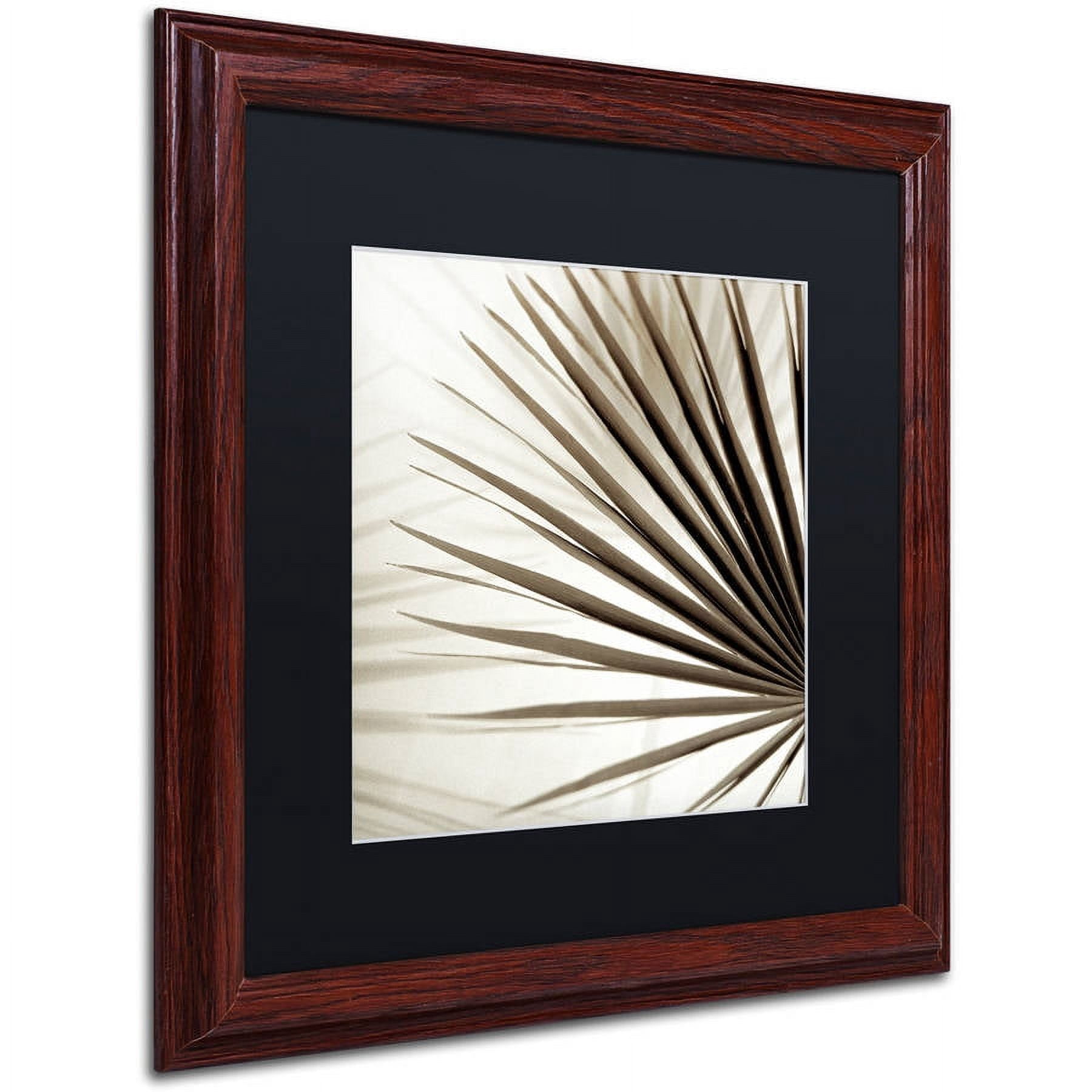 Trademark Fine Art "Florison 66" Canvas Art by Alan Blaustein, Black Matte, Wood Frame
