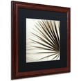 thumbnail image 2 of Trademark Fine Art "Florison 66" Canvas Art by Alan Blaustein, Black Matte, Wood Frame, 2 of 4
