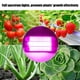thumbnail image 1 of Cultivo De Plantas De Interior COB LED De 220V 30W 50W 80W De Espectro Completo, 1 of 7