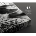 thumbnail image 4 of PixonSign Canvas Print Wall Art Set Powder Puff Cacti Botanical Wilderness Photography Modern Art Contemporary Portrait Relax/Calm Dark Black and White for Living Room, Bedroom, Office - 16"x24"x2, 4 of 5