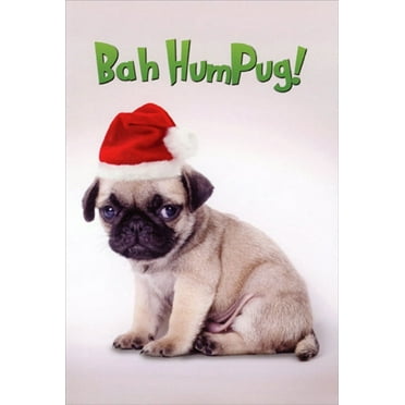 Nobleworks Bah Hum Pug Funny / Humorous Dog Christmas Card (1 card/1 envelope)
