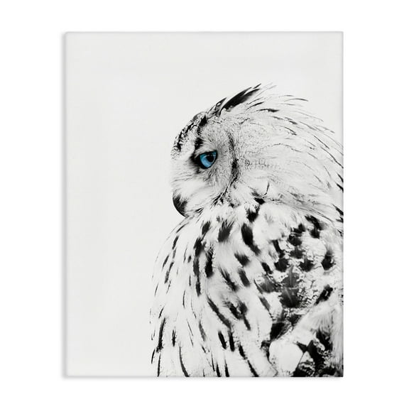 Stupell Industries Snow Owl White Feathers Peering Blue Eyes,24 x 30,Designed by Design Fabrikken
