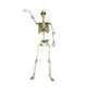 thumbnail image 2 of Escultura de terror articulada de esqueleto de Halloween con articulaciones móviles para fiestas en casa y fiestas temáticas de enseñanza de anatomía. 90 centímetros, 2 of 9