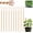 10pcs, variant on Electroculture Plant Stakes, Eco-Friendly Natural Plant Growth Boost Copper Coil Plants Stakes for Garde Garden Stake for Plants Fruits Vegetables Growth Eco-Friendly High-Yield，10pcs