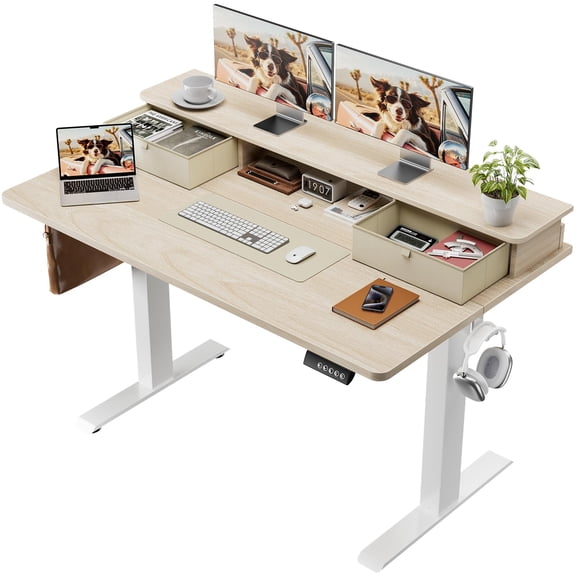 Wood Electric Standing Desk with Drawers, 63 in Adjustable Height Sit