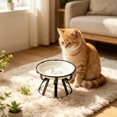 thumbnail image 4 of Ceramic Raised Pet Bowl with Non Slip Stand, Food and Water Bowl for Cats and Small to Medium Dogs, White, 6.26 Inch, 4 of 6
