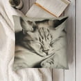 thumbnail image 3 of YINGXI  Cat Throw Pillow Covers Animal Painting Pillow Cases Pet Farmhouse Decorative Cushion Covers for Sofa Couch 20x20in, 3 of 5