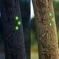 thumbnail image 4 of Dadiaei Reflective Tacks Trail Markers Hunting Tacks Glow Tacks Reflective Trail Tacks for Hunting Hiking Camping Tree Stand, 100/200 Pc Reflective Thumb Tacks Mark Trail Reflector Tacks, 4 of 6