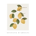 thumbnail image 3 of Straatsma, Leah 15x18 Black Modern Framed Museum Art Print Titled - Amalfi Lemons, 3 of 5