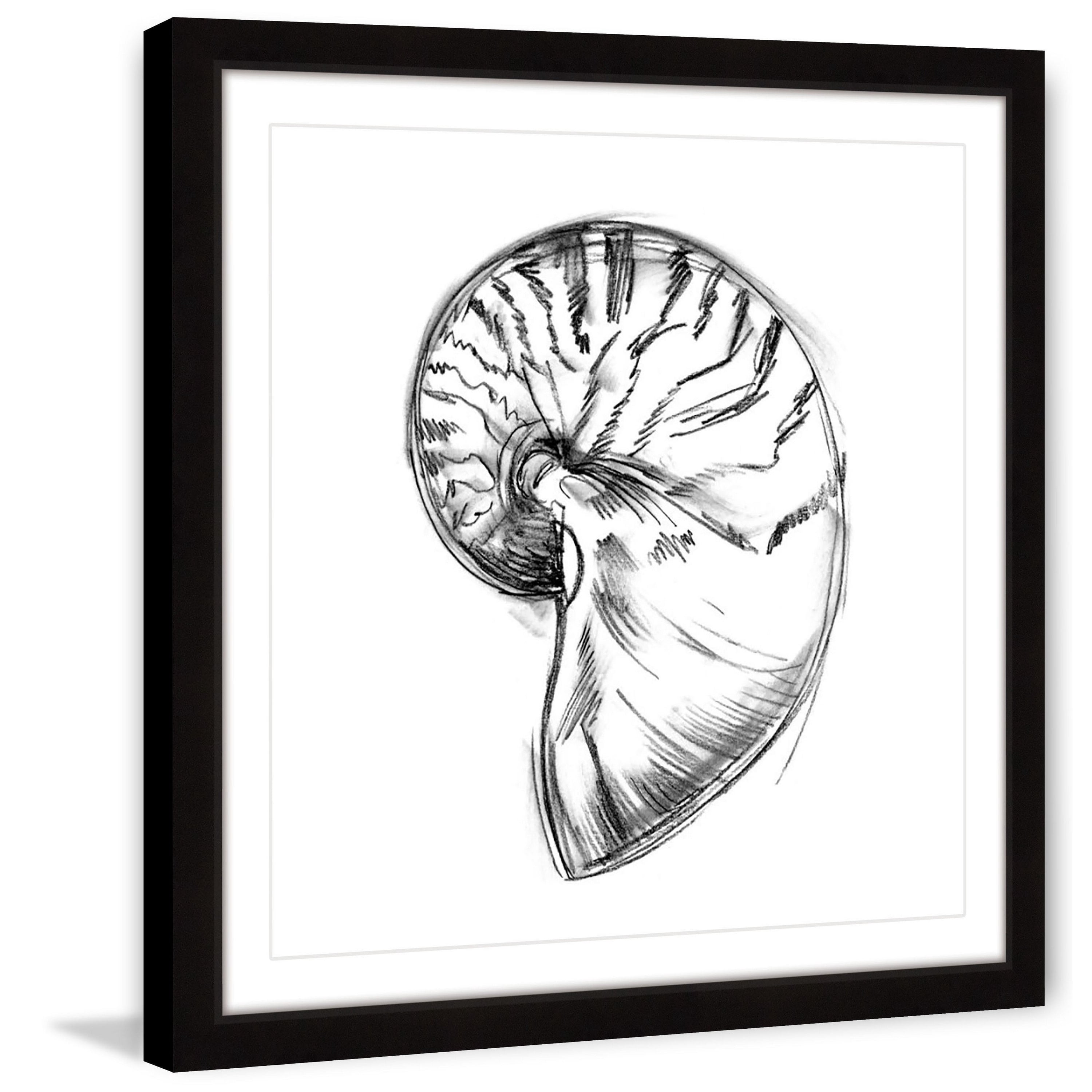 "Shell Sketch IV" Framed Painting Print