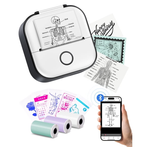 Memoking Mini Printer - Sticker Printer T02 Portable Thermal Inkless Sticker Maker Machine, Bluetooth Pocket Labeler for Study Graphics, Anatomical D