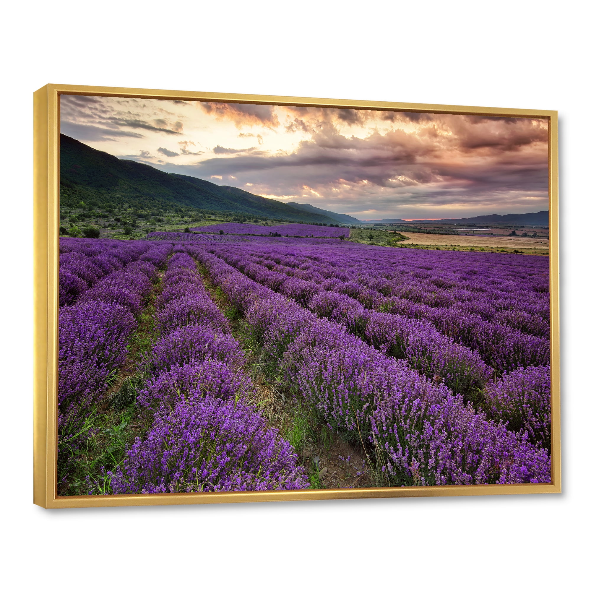 Designart 'Lavender Field At Sunrise I' Farmhouse Framed Canvas Wall Art Print