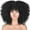 I, variant on Qliuoazw Fashion Wig Curly Hair Explosion High Temperature Silk Rose Mesh Wig Full Head Cover