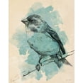 thumbnail image 2 of Loreth, Lanie 12x14 Black Ornate Wood Framed with Double Matting Museum Art Print Titled - Bird Study in Teal I, 2 of 4