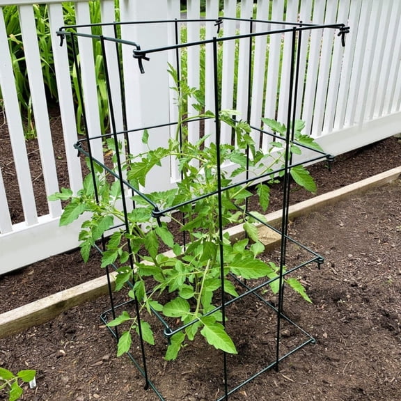 Ferry-Morse 4-Piece Multi-Use Tomato Cage & Trellis Garden Tomato Cages Plant Support Square Pole, Heavy Duty Steel Plant Tower Stakes