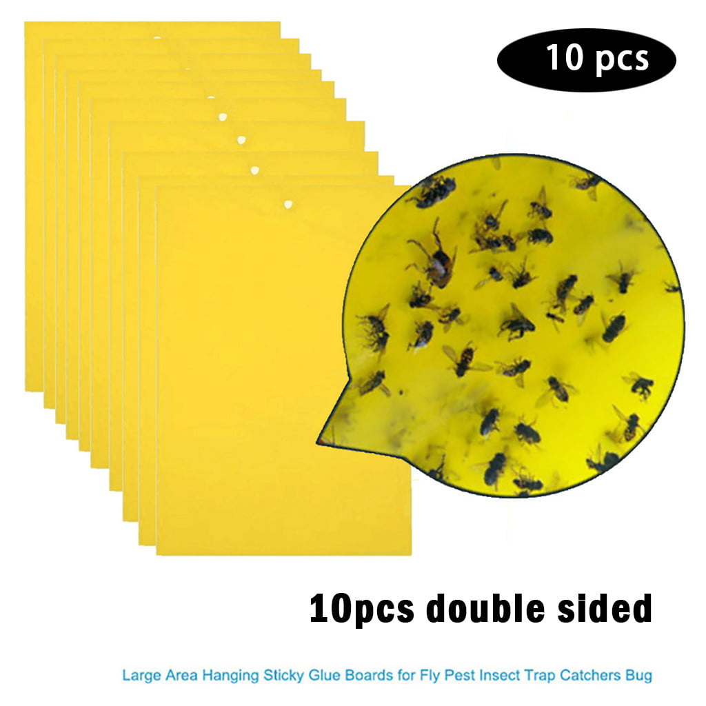 10/20/30pcs Strong Flies Traps Bug Sticky Board Killer Pest Control Glue Stic US 
