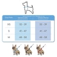 thumbnail image 3 of Mascretta Correa y Pechera para Perro Minimalista Mascretta  Pechera y Correa para Perro, 3 of 7