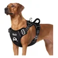thumbnail image 1 of Pechera Arnes Perro Extragrande Cómoda Ajustable Husky Golde, 1 of 8