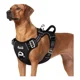 thumbnail image 1 of Pechera Arnes Perro Extragrande Cómoda Ajustable Husky Golde, 1 of 8