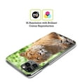 thumbnail image 2 of Head Case Designs Famous Animals Siberian Liger Hard Back Case Compatible with Apple iPhone 12 Pro Max, 2 of 7