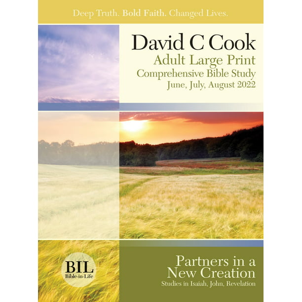 fjende Adskillelse Framework Bible-In-Life/Reformation Press Summer 2022: Adult Comprehensive Bible  Study Large Print Student Book (#1087) - Walmart.com